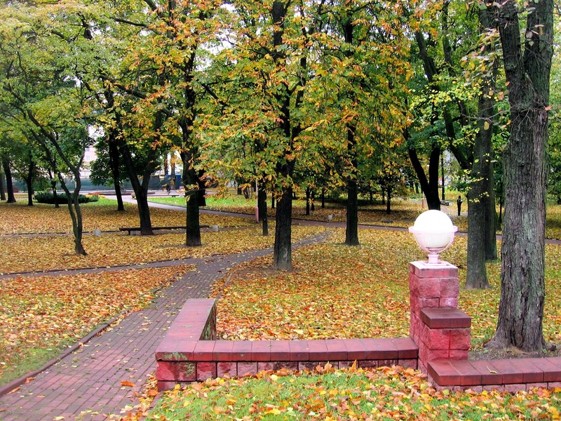 Ditch Witch вапв